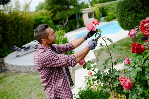 A man with short dark hair, wearing a red and white checked shirt and grey gardening gloves, is pruning a rose bush in a well-maintained garden. The garden features a lush green lawn, with a paved circular patio area in the background, surrounded by dense shrubs and tall trees providing privacy. Beyond the man, there is a swimming pool with a curved shape, bordered by a stone edge, and a white sun lounger positioned nearby. Bright pink roses are prominent in the foreground, with the man carefully tending to the flowers, demonstrating outdoor gardening activities typical of residential outdoor spaces. The scene is set in daylight under partly cloudy weather, highlighting the vibrant natural colours and well-kept landscape characteristic of professional garden maintenance in Vauxhall, London, as part of Gardening Services Vauxhall's offerings for comprehensive gardening and outdoor care.
