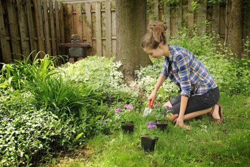 Skilled gardeners planning a garden design in Vauxhall
